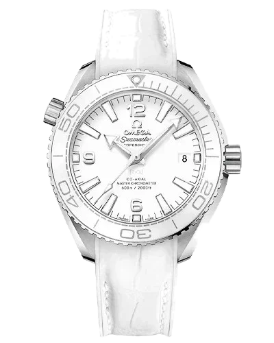 Omega Seamaster Planet Ocean 600M 215.33.40.20.04.001