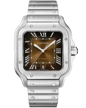 Cartier Santos De Cartier WSSA0064