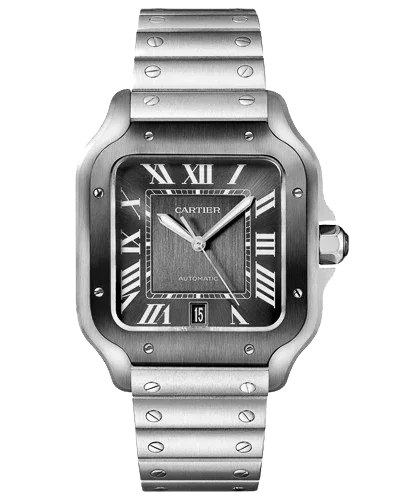 Cartier Santos WSSA0037